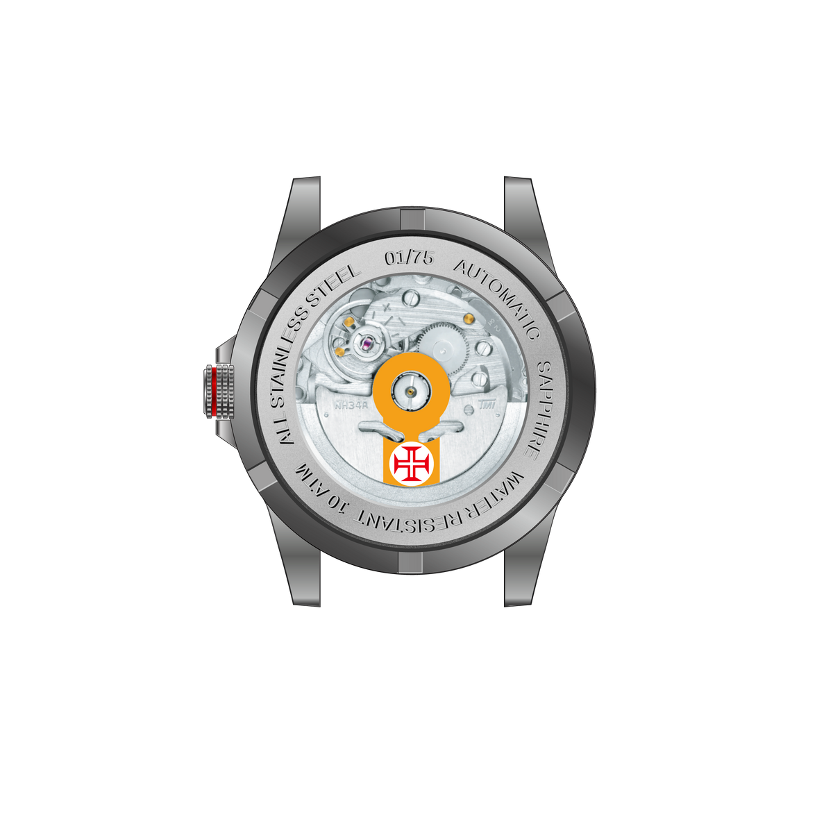 Reserva do FlightMaster 75 anos Chipmunk (50% de €499 total)